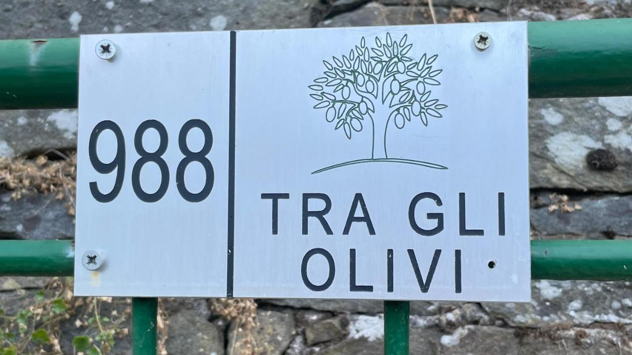 Tra Gli Olivi Apartment Lucca Exterior foto