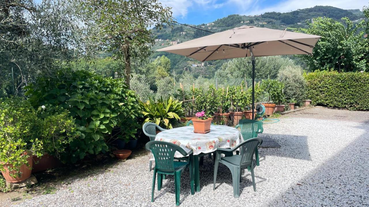 Tra Gli Olivi Apartment Lucca Exterior foto