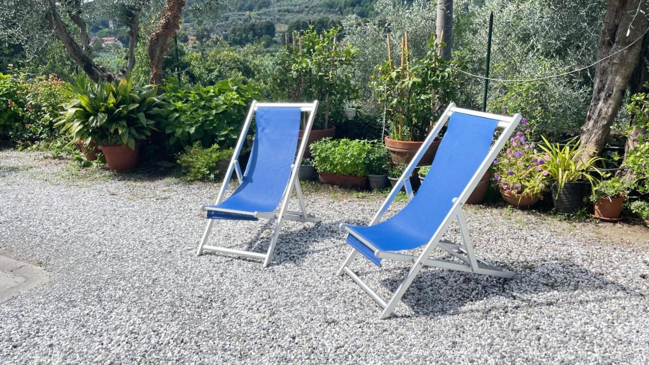 Tra Gli Olivi Apartment Lucca Exterior foto