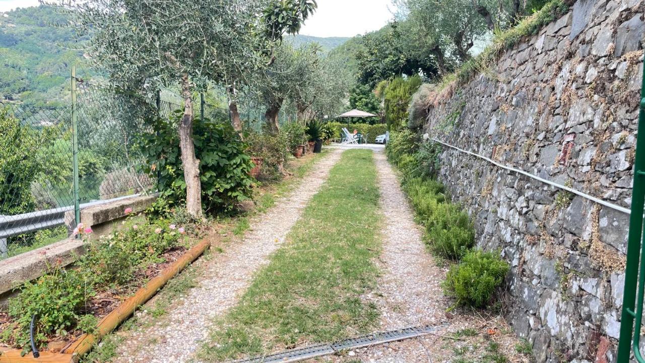 Tra Gli Olivi Apartment Lucca Exterior foto
